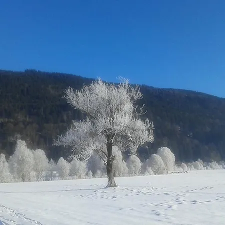 Ferienwohnung-nassfeld-haus Umschaden 公寓