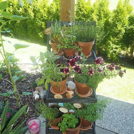 Ferienwohnung-nassfeld-haus Umschaden 公寓 特洛普拉赫