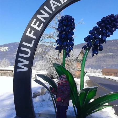 Ferienwohnung-nassfeld-haus Umschaden 公寓 特洛普拉赫