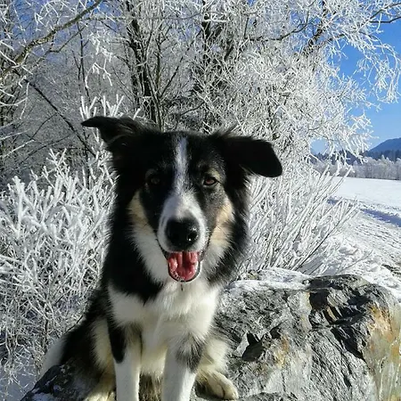 Ferienwohnung-nassfeld-haus Umschaden *